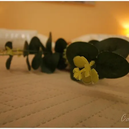 Calista Apartment Primosten